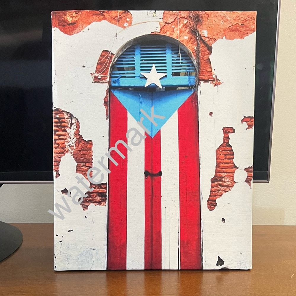 🔥 PUERTO RICO Door Canvas Art